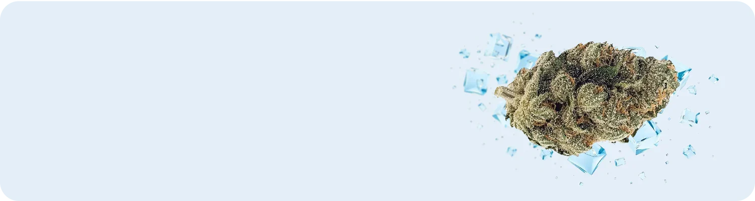 Desktop Banner