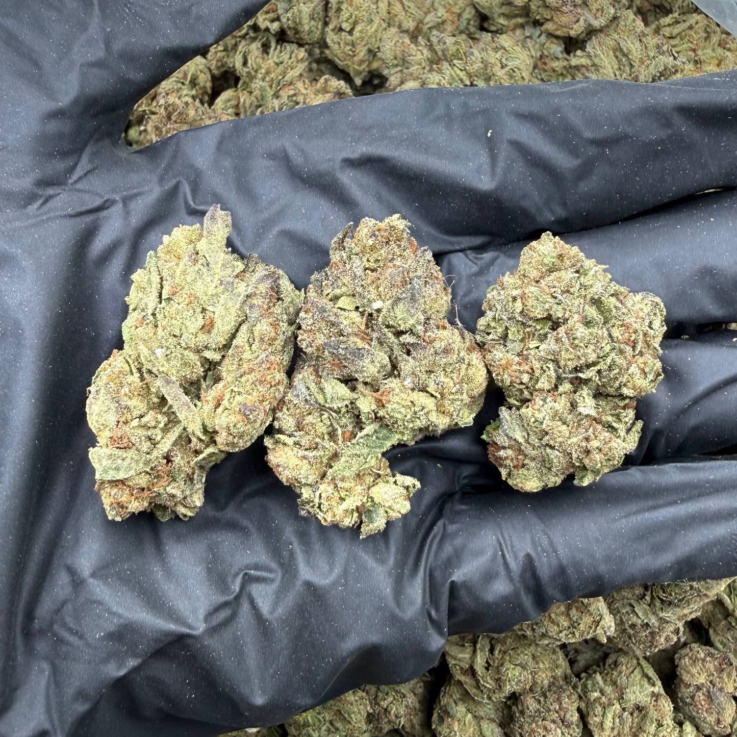 Candy Runtz *Bulk*