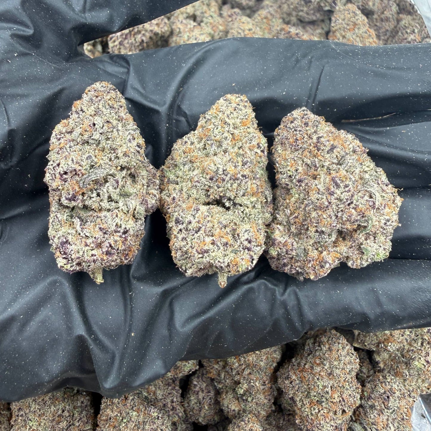 Blackout Berries *Bulk*