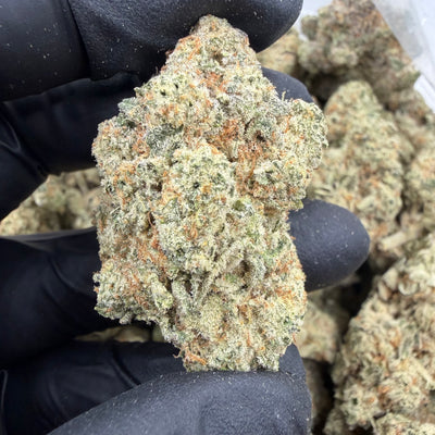 Alien Kush