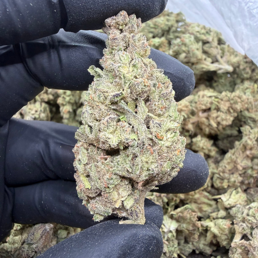 Alien Kush