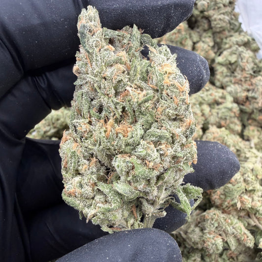 Arctic Blue Dream