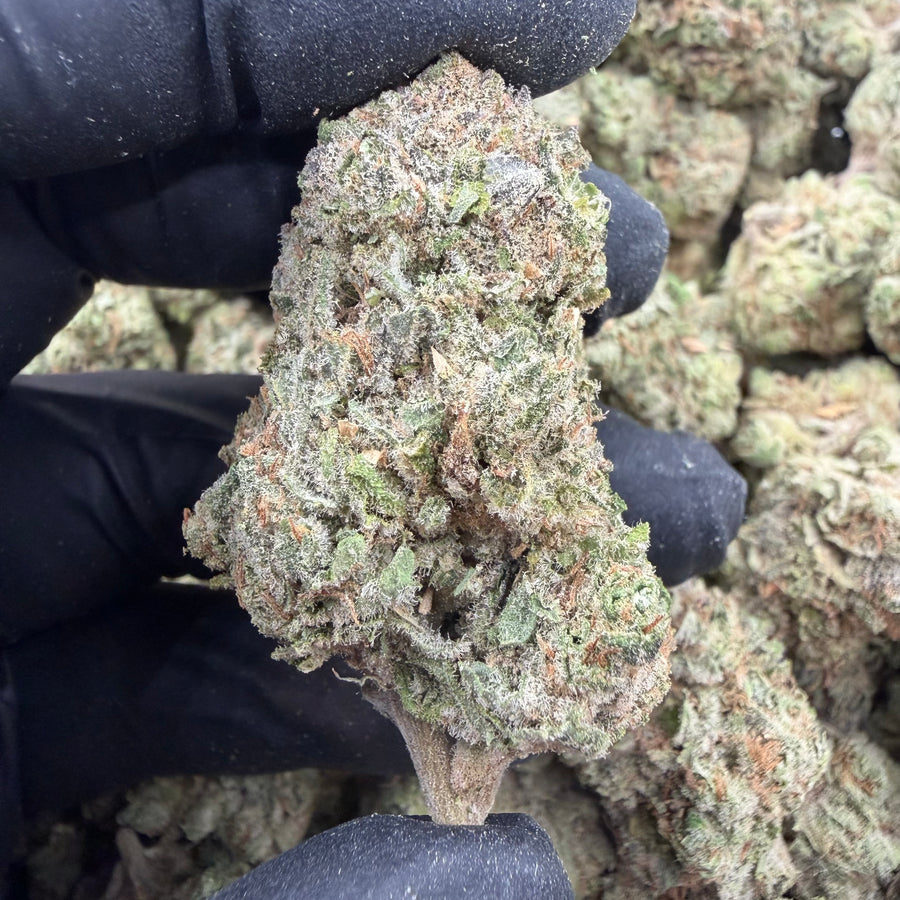 Bahama Berry