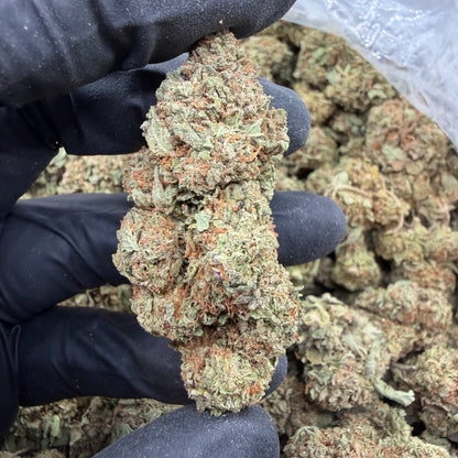 Black Diamond