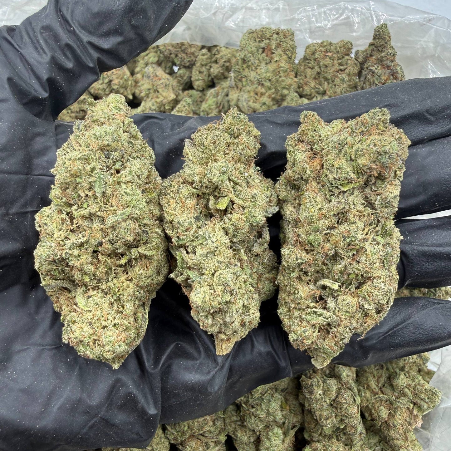 Blue Dream *Bulk*