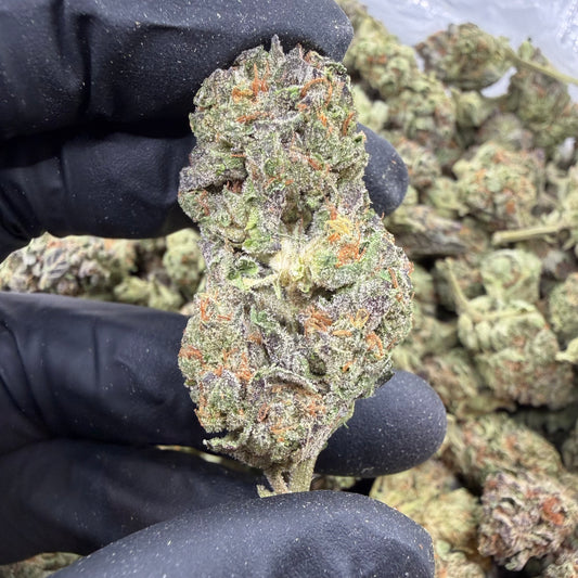 Blueberry Haze