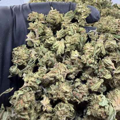 Blue Dream Smalls