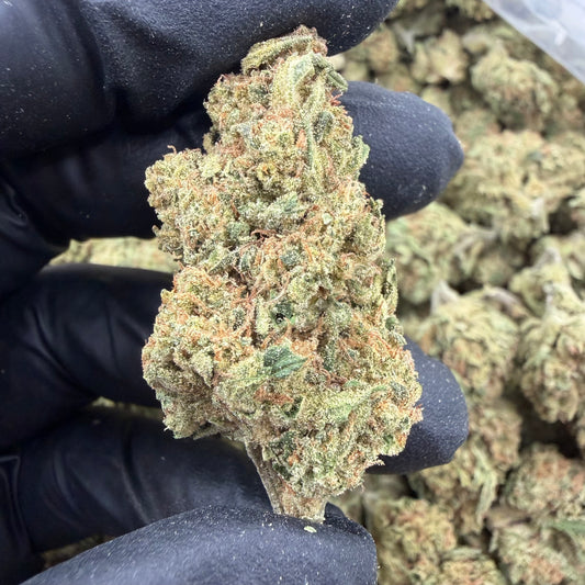 Blue Skunk