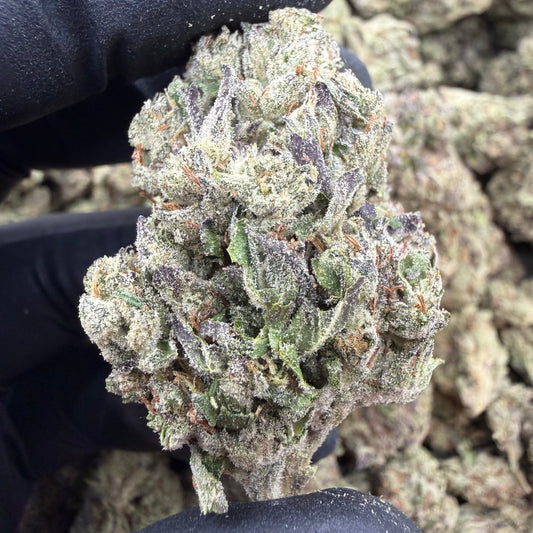 Bubble Gum