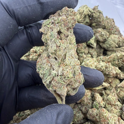 Candy Apple