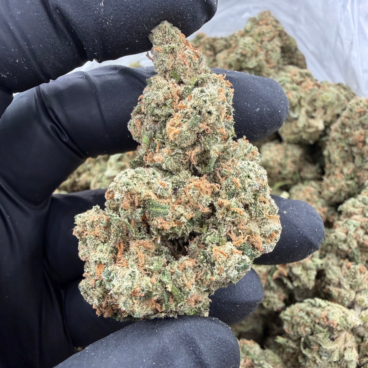 Candy Jack