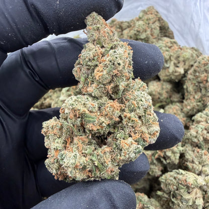 Candy Jack