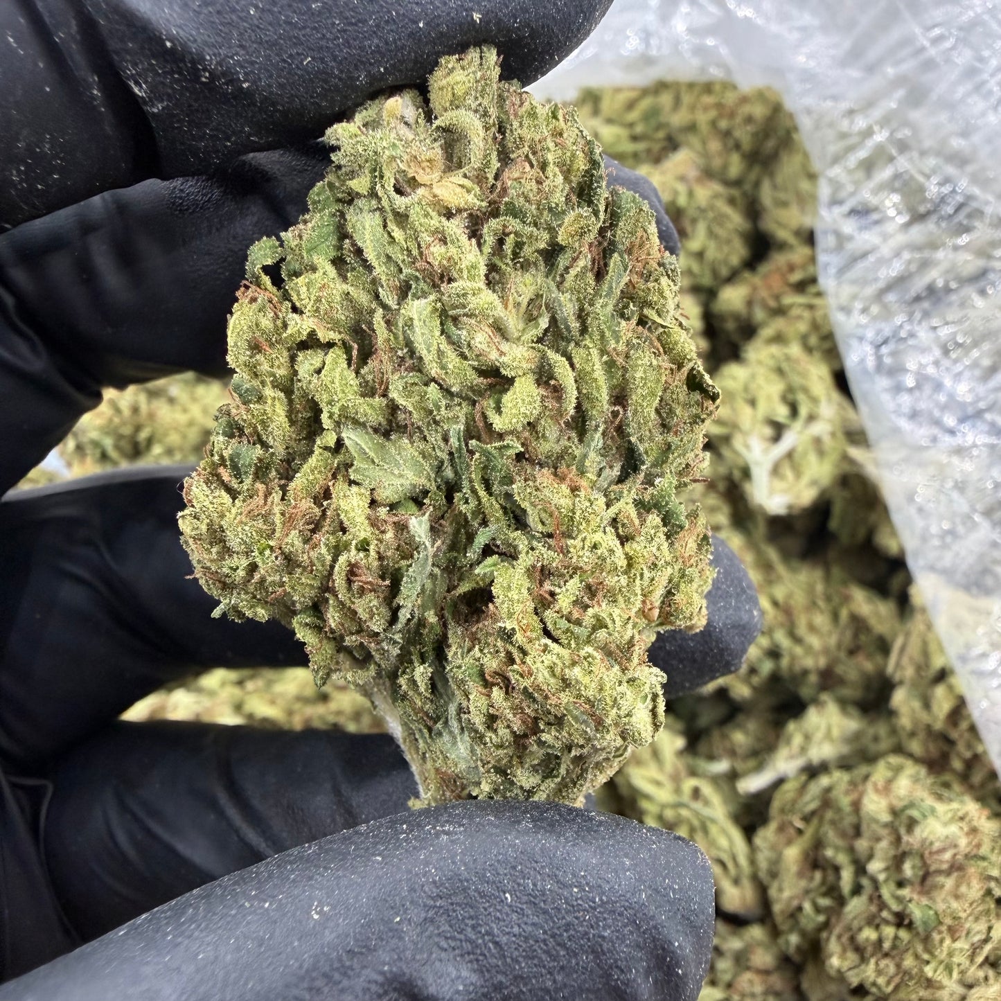 Chemdawg