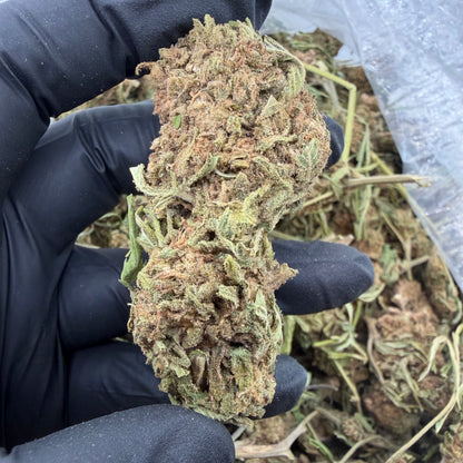 Chemdawg *Budget*
