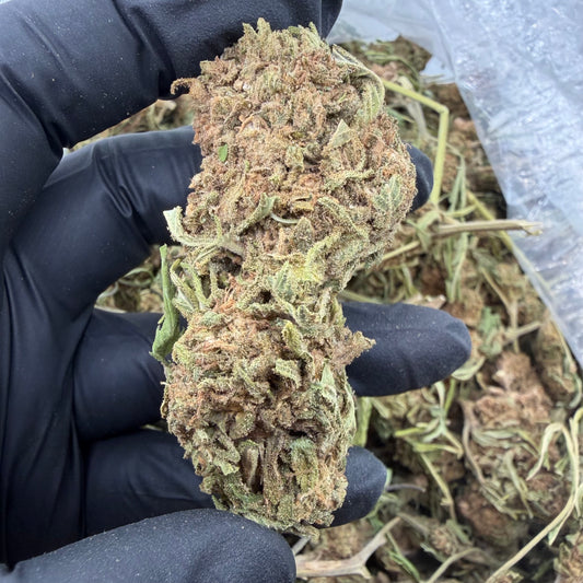 Chemdawg *Budget*