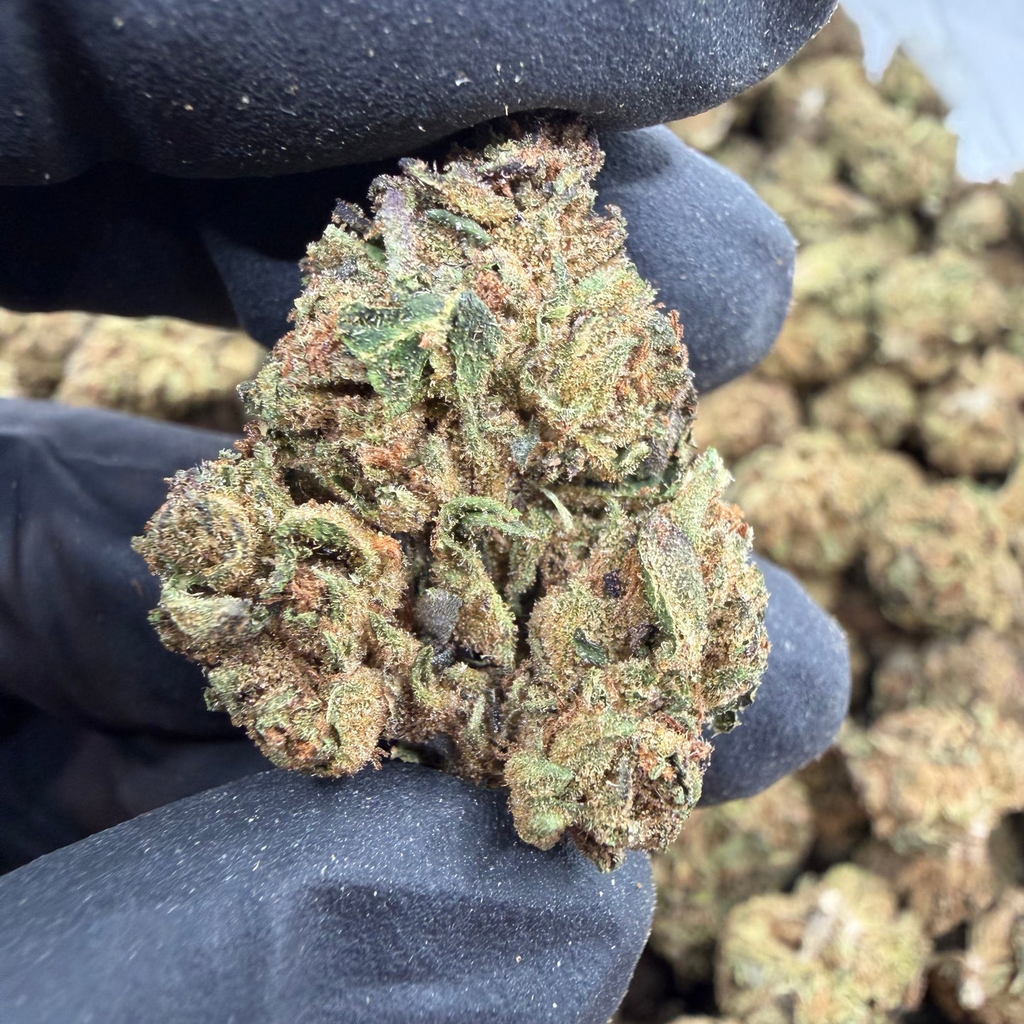 Cherry LCG