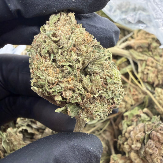 Durban Poison *Budget*