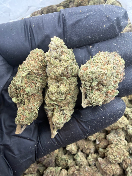 Essentials Mixed Buds