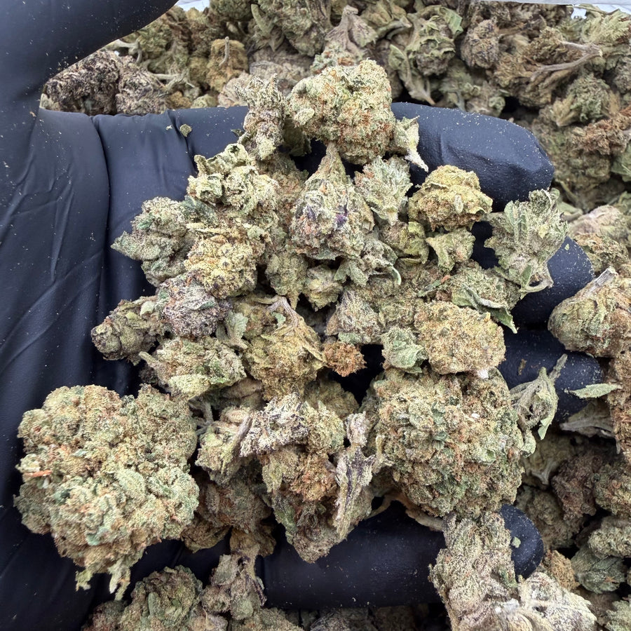 Essentials Mixed Buds