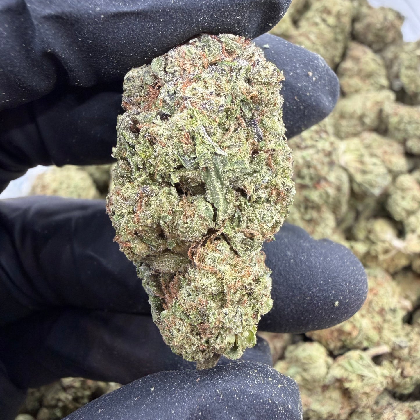 Galactic Glue