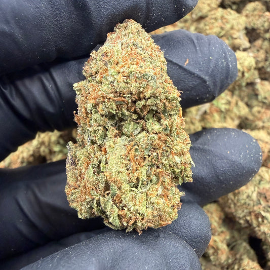 Gelato 45