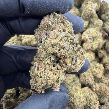 Gelato Gas