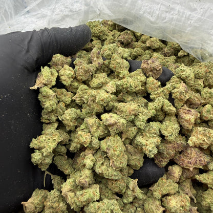 Gelato #33 *Smalls*