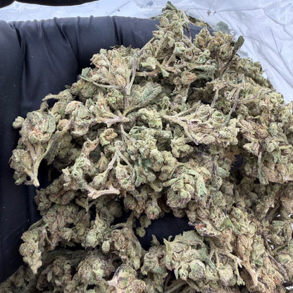 Granny Candy Smalls
