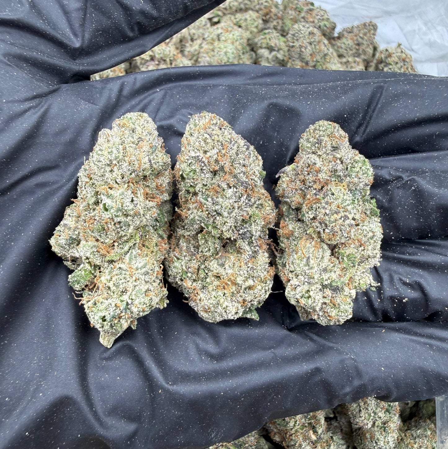 Brambleberry Runtz *Bulk*