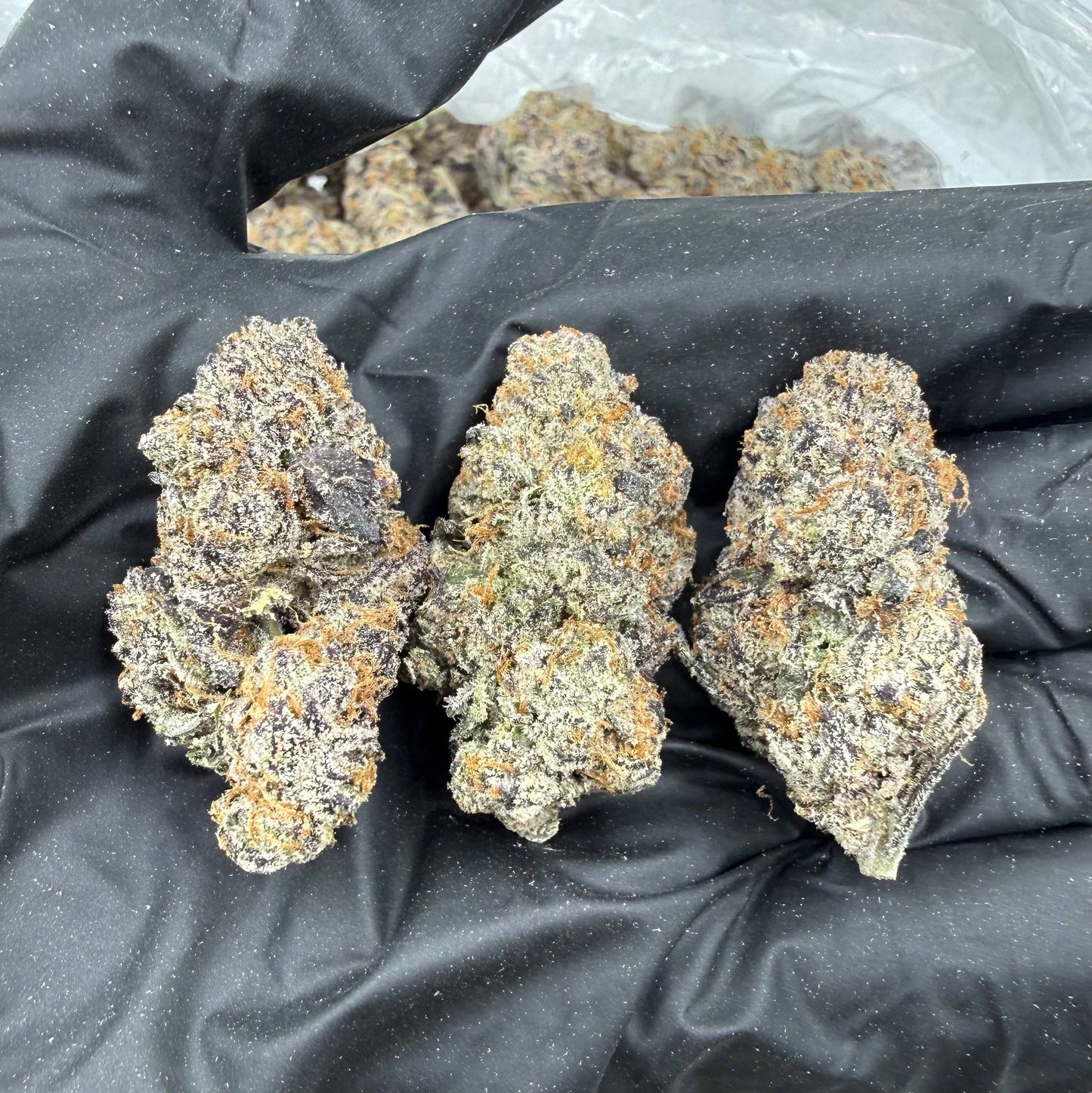 Kandy Kambo *Bulk*