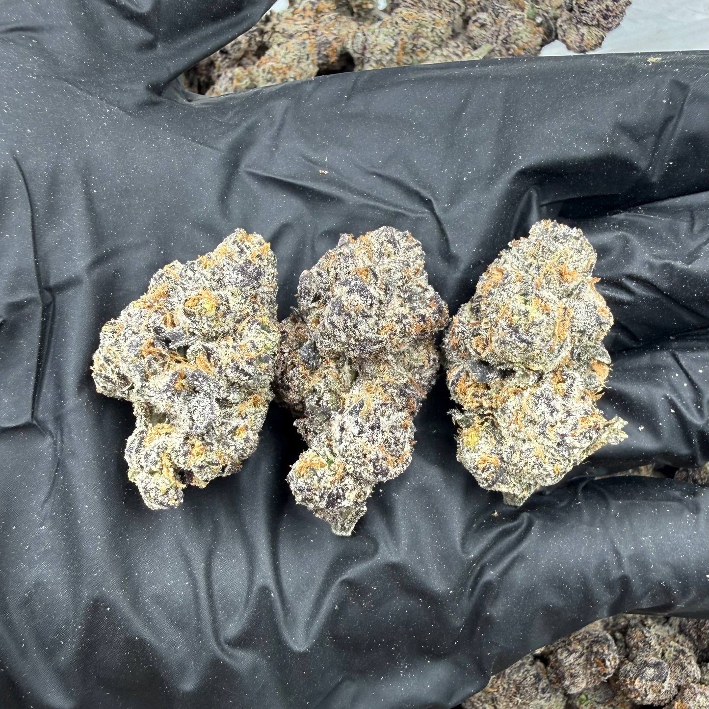 Purple Uni *Bulk*