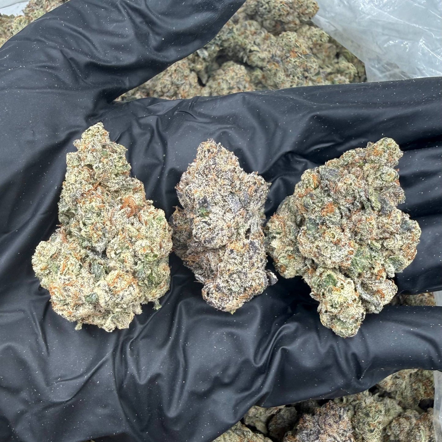Sour Pelli Pops *Bulk*