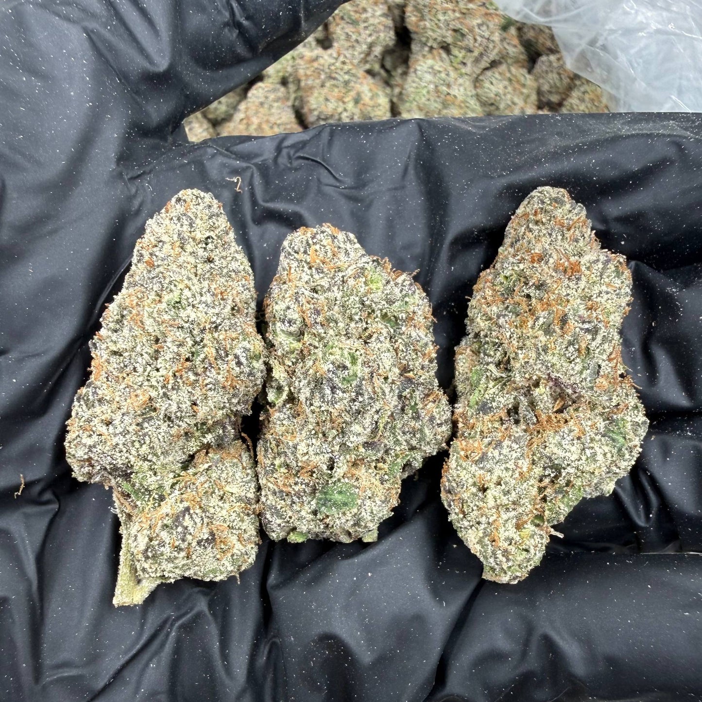 Rainbow Gelato *Bulk*