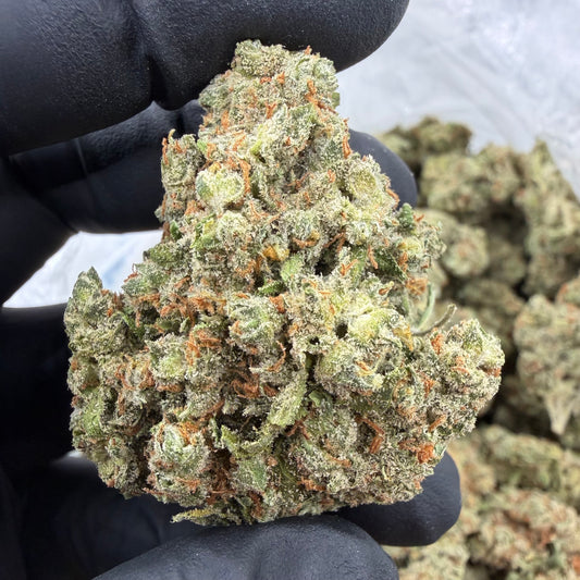 Jack Herer