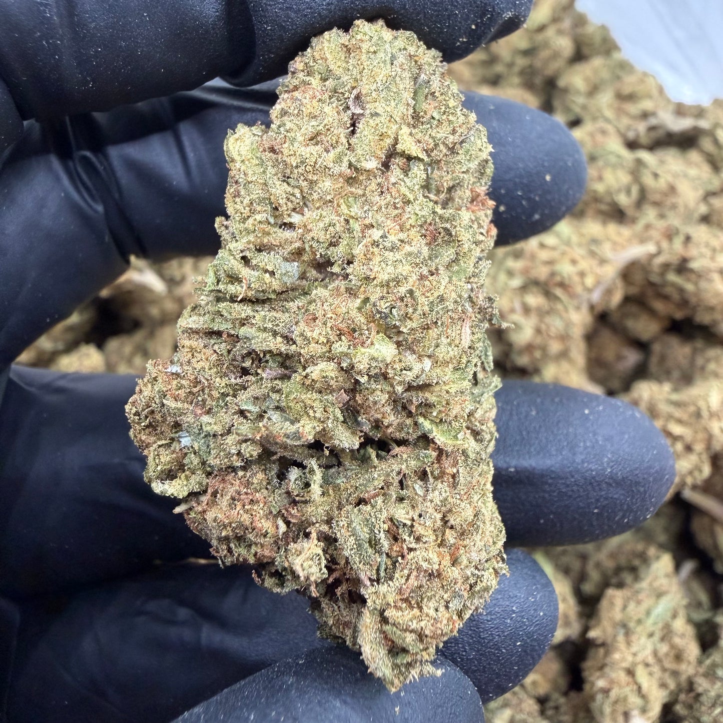 Jolly Rancher