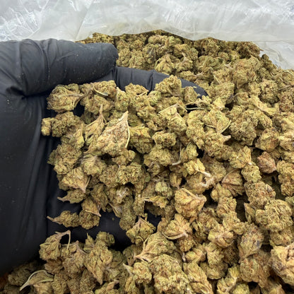 Kush Crasher *Smalls*