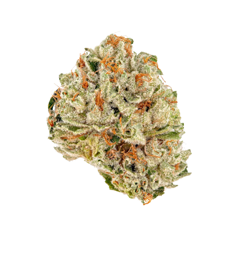 KIWI LEMONADE (Copy) (Copy) (Copy)