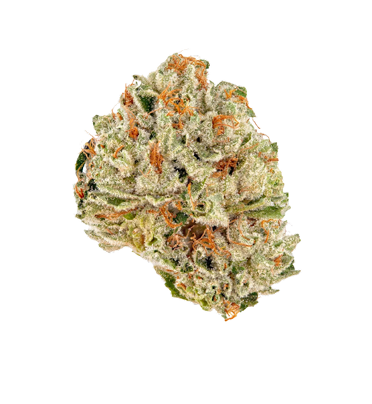 KIWI LEMONADE (Copy)