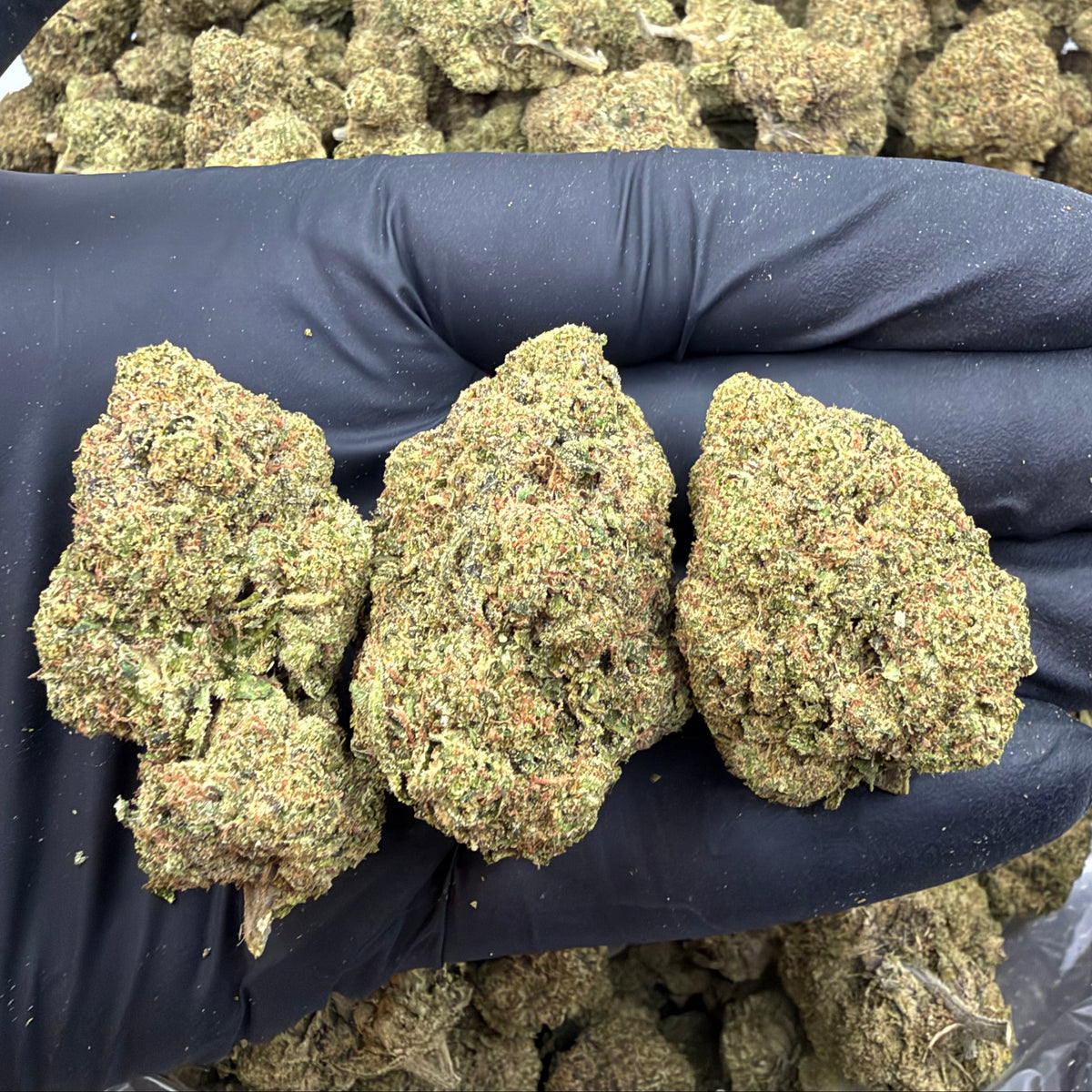 Lemon Candy *Bulk*