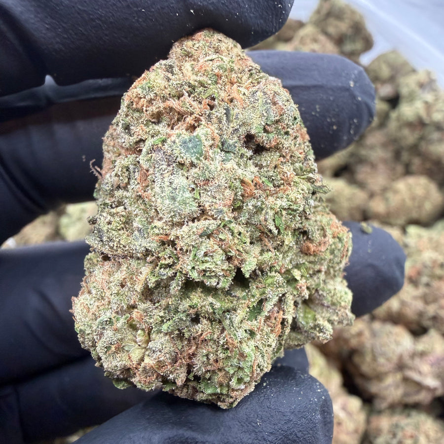 Lemon Candy