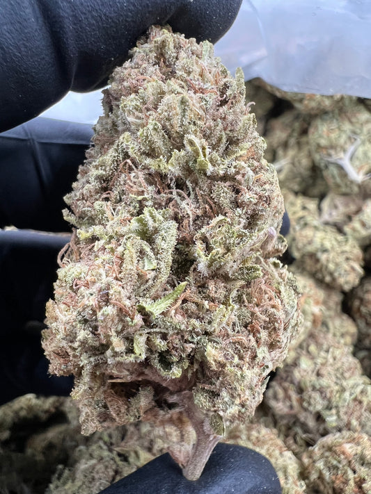 Lemon Cherry Gelato