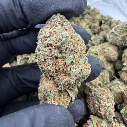Lemon Cherry Gelato