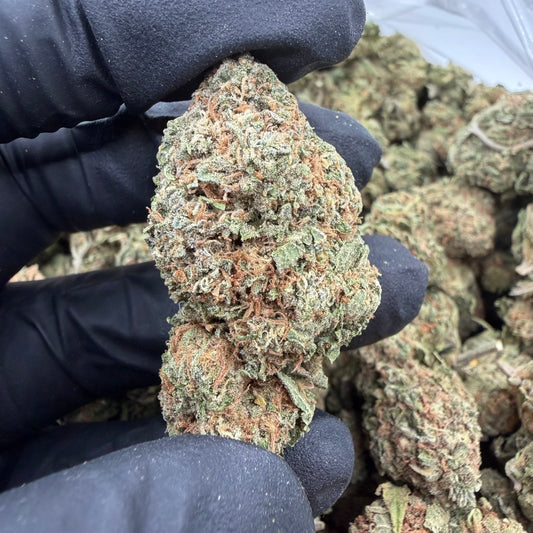 Lemon Cherry Gelato