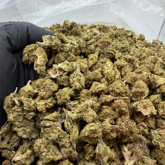 Lemon Haze *Smalls*