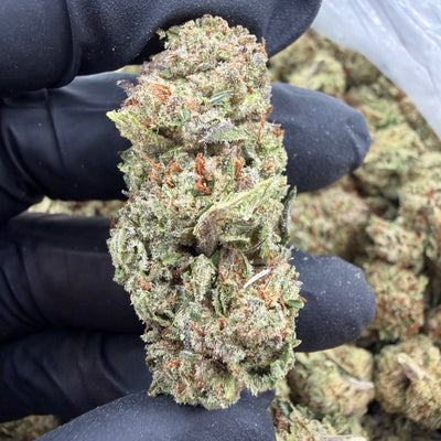 Lemon Kush