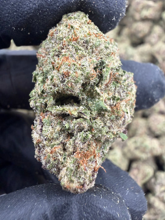 Lemon Bean