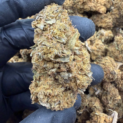 Lemon Haze