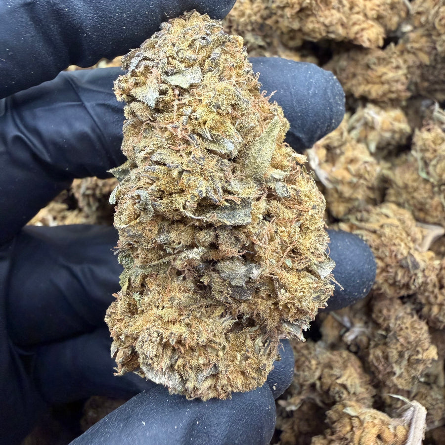 Lemon Haze