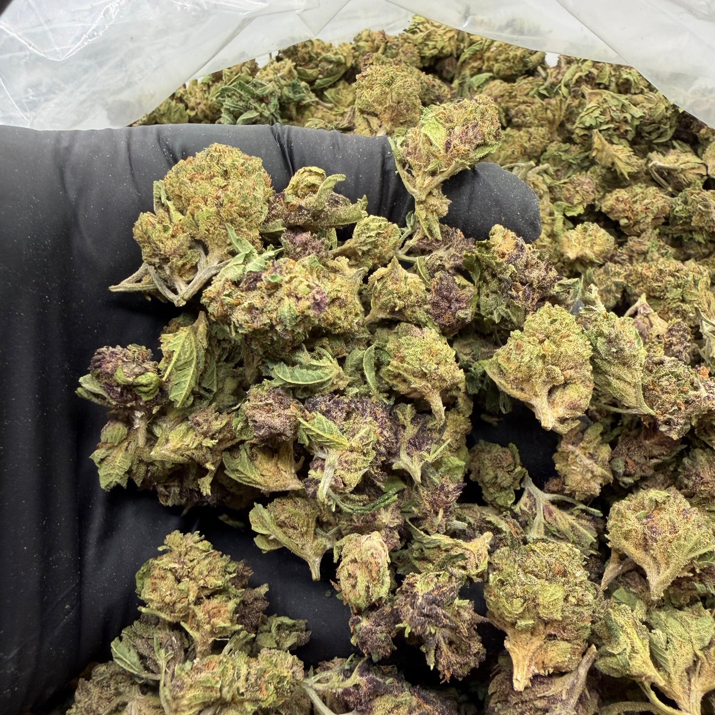 Lemon Haze -Smalls-