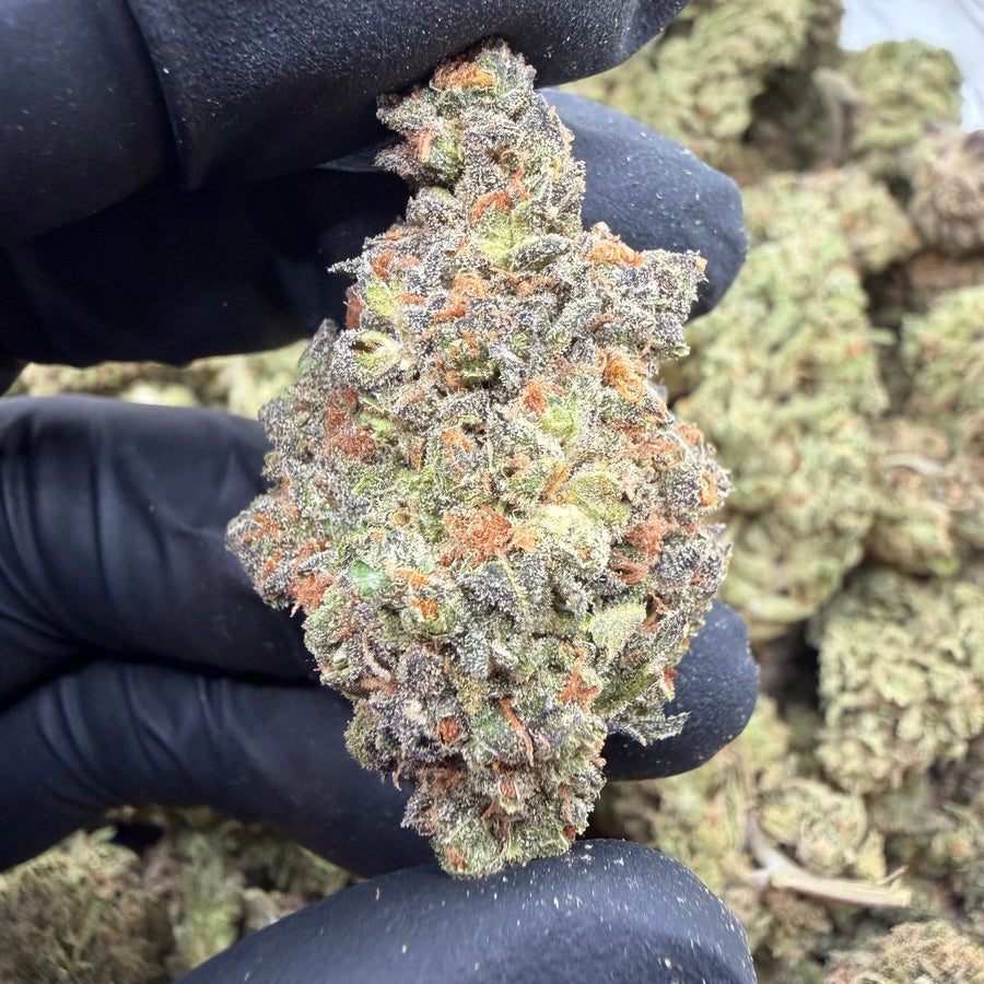 Mendo Breath
